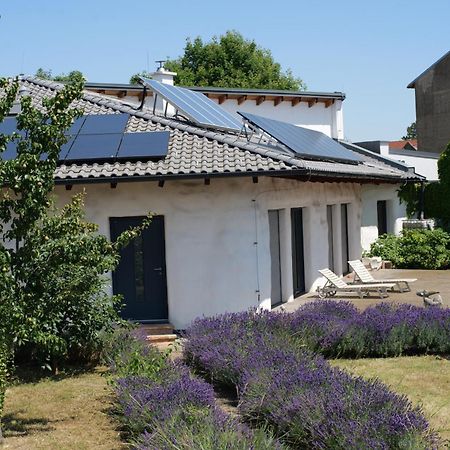 Apartmán Strohlehm'Zhaus Weiden am See Exteriér fotografie